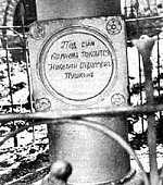Н.С. Пушкин